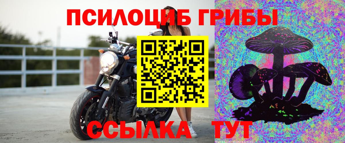 Псилоцибиновые грибы прущие грибы  Вход с VPN  Владикавказ  Псилоцибиновые грибы Cubensis 